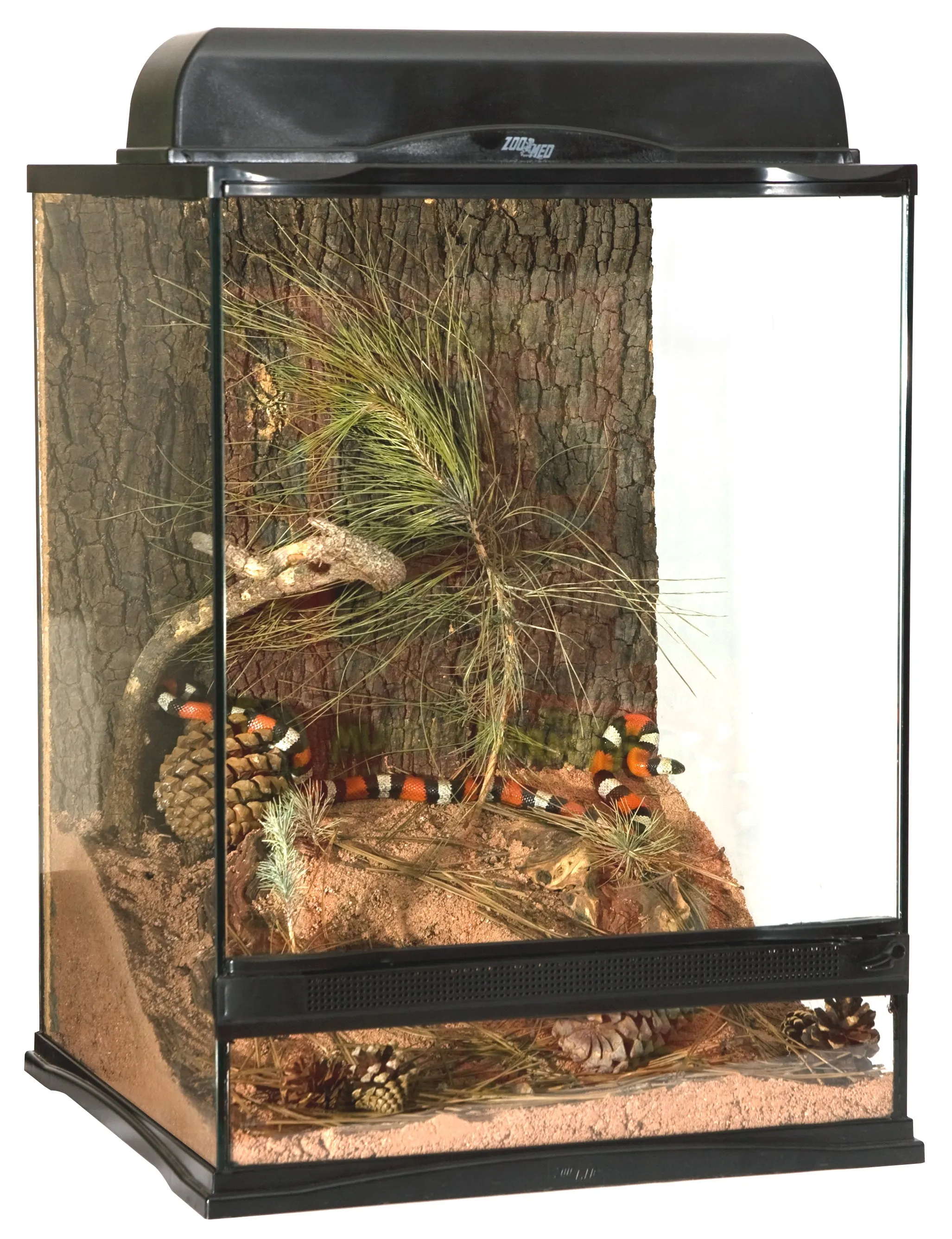 Zoo Med Naturalistic Terrarium