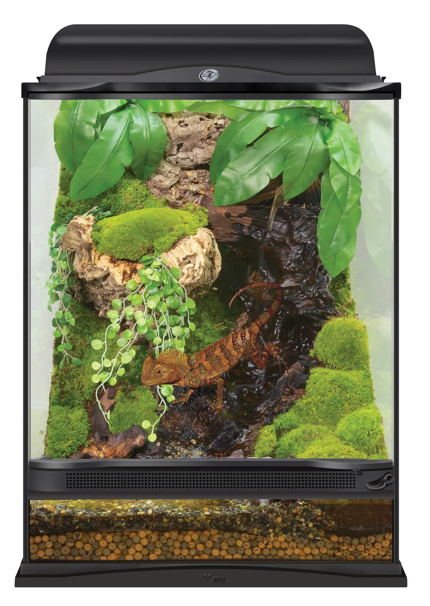 Zoo Med Naturalistic Terrarium