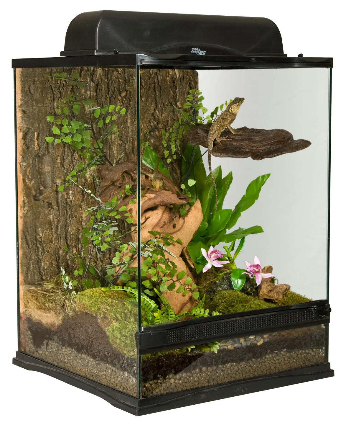 Zoo Med Naturalistic Terrarium