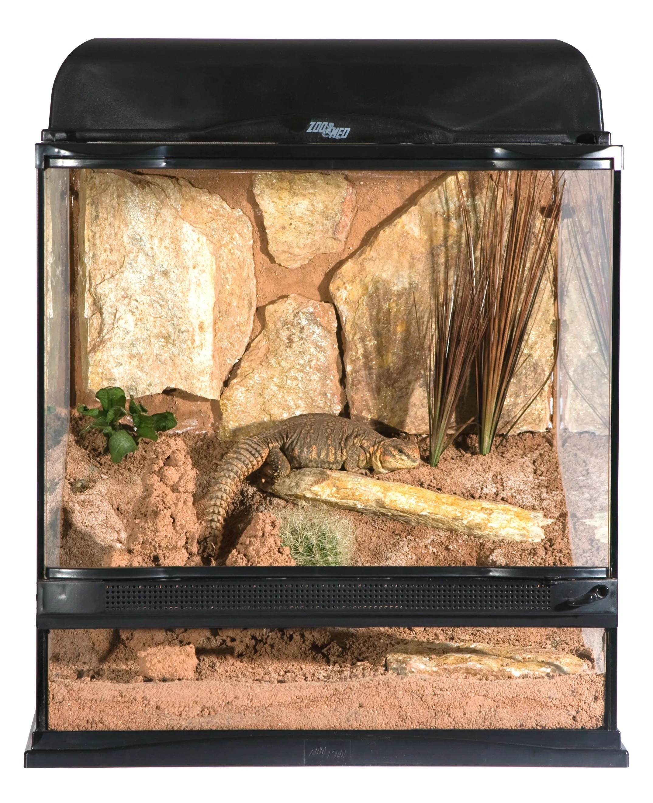 Zoo Med Naturalistic Terrarium