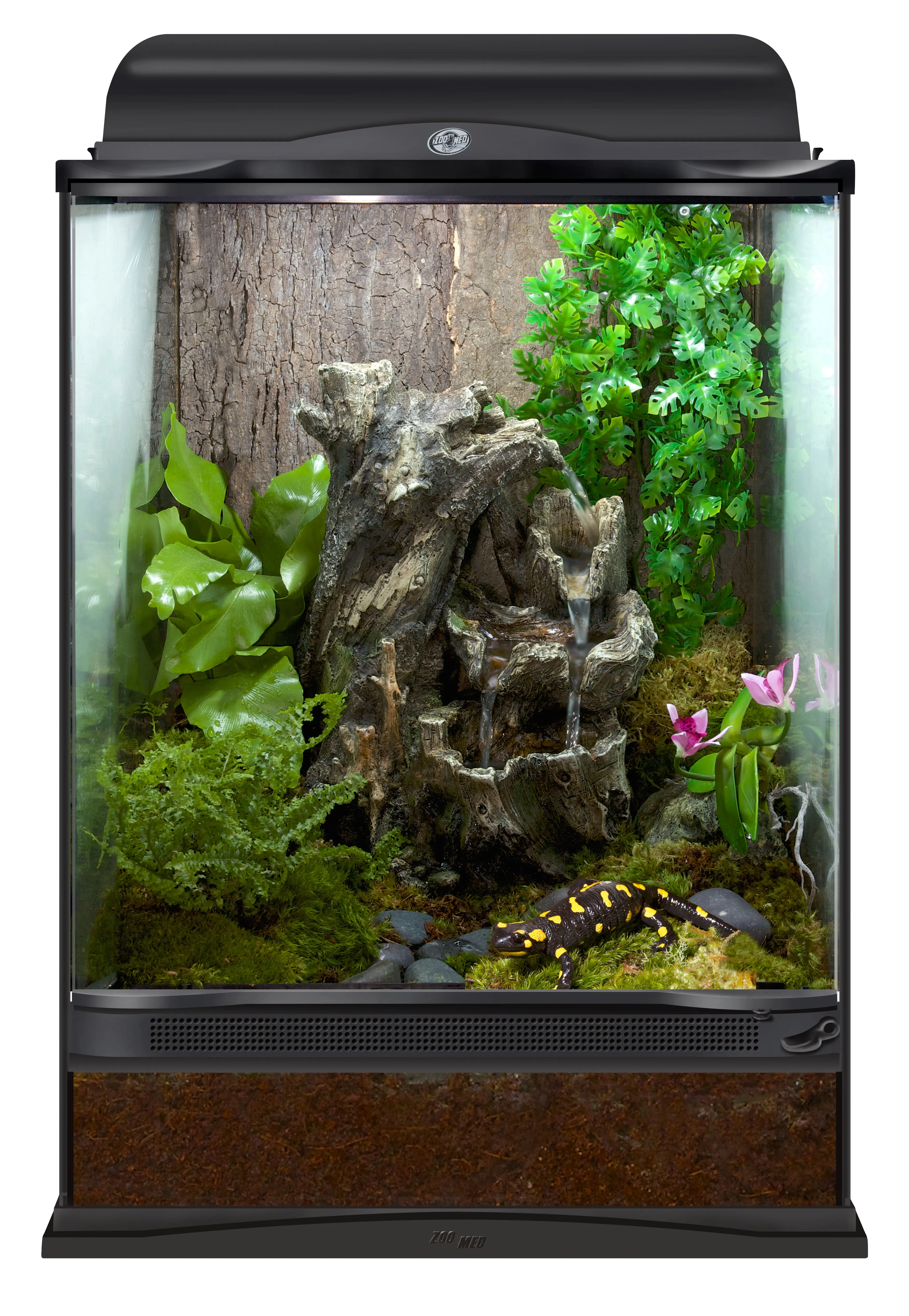 Zoo Med Naturalistic Terrarium