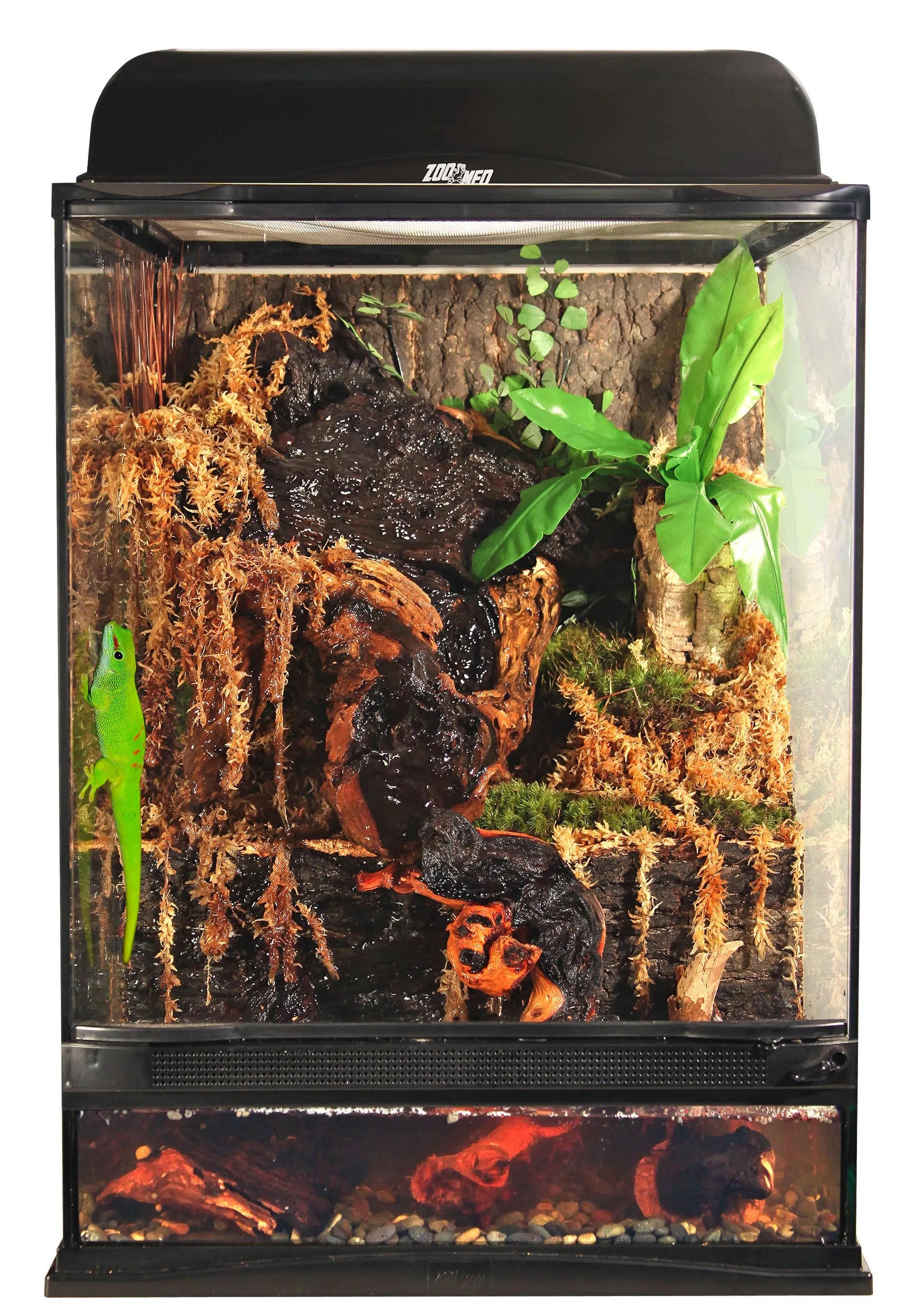 Zoo Med Naturalistic Terrarium